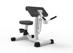 RL8103 Biceps Curl/Triceps Extension